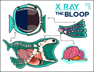 RADIOGRAFÍA X-RAY THE BLOOP