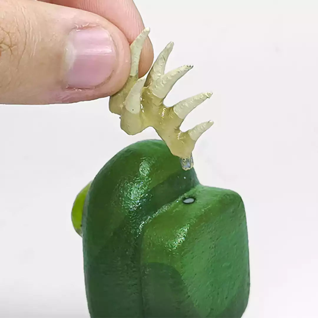 PACIENTE 0 Y NOVISOR